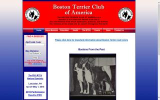 Boston Terrier Club of America - BTCA