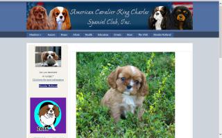 American Cavalier King Charles Spaniel Club, Inc. - ACKCSC