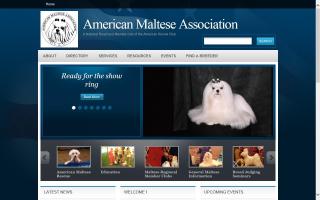 American Maltese Association - AMA