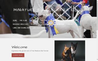 Miniature Bull Terrier Club of America - MBTCA