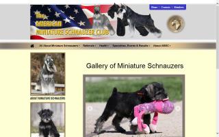 American Miniature Schnauzer Club, The - AMSC