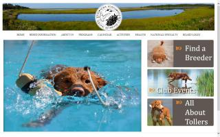 Nova Scotia Duck Tolling Retriever Club (USA) - NSDTRC (USA)