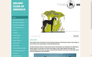 Saluki Club of America - SCOA