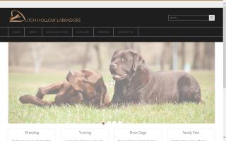 Dutch Hollow Labradors