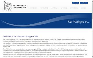 American Whippet Club - AWC