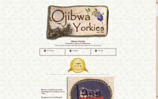 Ojibwa Yorkies