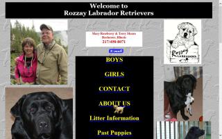 Rozzay Labrador Retrievers