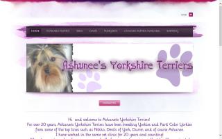 Ashunee Yorkshire Terriers