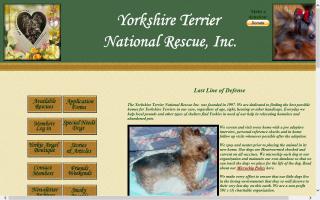 Yorkshire Terrier National Rescue, Inc. - YTNR