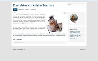 Davishire Yorkshire Terriers