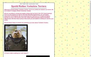 Spoild Rotten Yorkshire Terriers