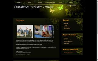 Annwn Yorkshire Terriers