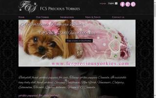 FC'S Precious Yorkies