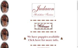 Judawn Yorkshire Terriers