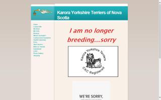 Karora Yorkshire Terriers of Nova Scotia