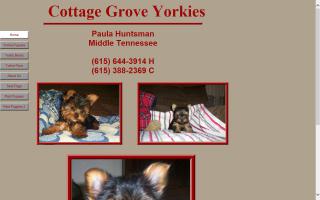 Cottage Grove Yorkies