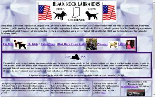 Black Rock Labradors