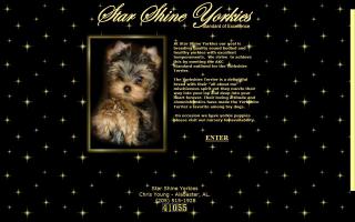 Starshine Yorkies