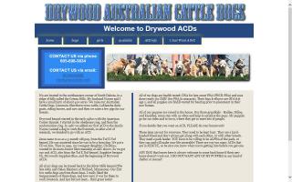 Drywood Australian Cattle Dogs