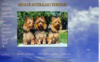 Benayr Australian Terriers