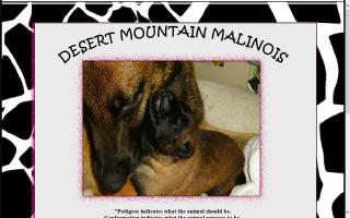 Desert Mountain Malinois