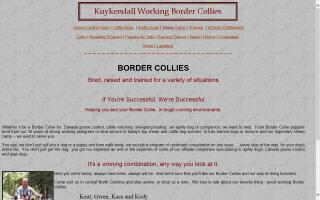 Kuykendall Working Border Collies