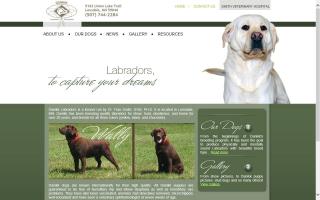 Danikk Labradors