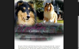 Stonehaven Collies