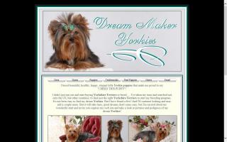 Dream Maker Yorkies