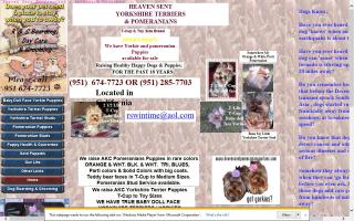 Heaven Sent Pomeranians & Yorkshire Terriers