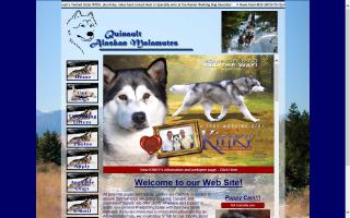 Quinault Alaskan Malamutes