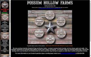 Possum Hollow Farms