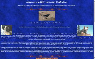 Silveraurora AKC Australian Cattle Dogs