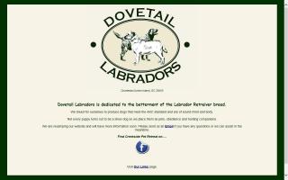 Dovetail Labradors