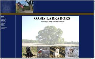 Oasis Labradors