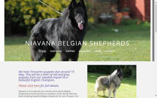 Niavana Belgian Shepherds