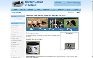 Border Collies In Action