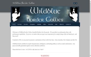 Wildblue Border Collies