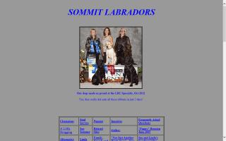 Sommit Labradors