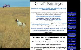 Chief's Brittanys