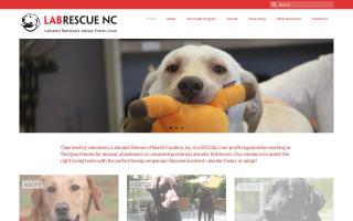 Lab Rescue of North Carolina