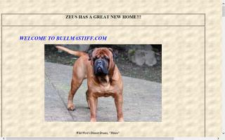 Wild West Bullmastiffs