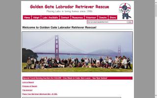 Golden Gate Labrador Retriever Rescue, Inc. - GGLRR