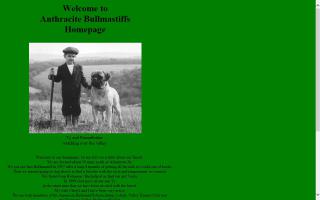 Anthracite Bullmastiffs