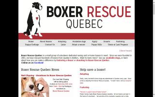 Boxer Rescue Quebec