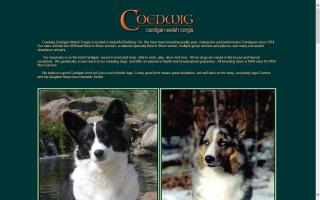 Coedwig Cardigan Welsh Corgis