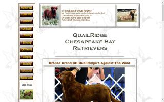 QuailRidge Chesapeake Bay Retrievers