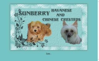 Sunberry Kennels