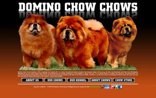 Domino Chow Chows