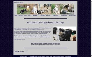 Cyndella Collies